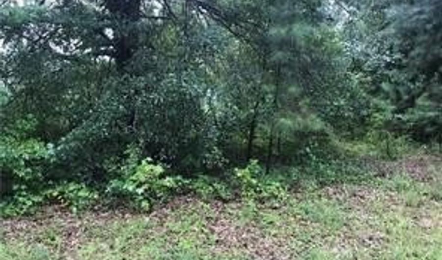151 W Ml, Tallapoosa, GA 30176 - 0 Beds, 0 Bath