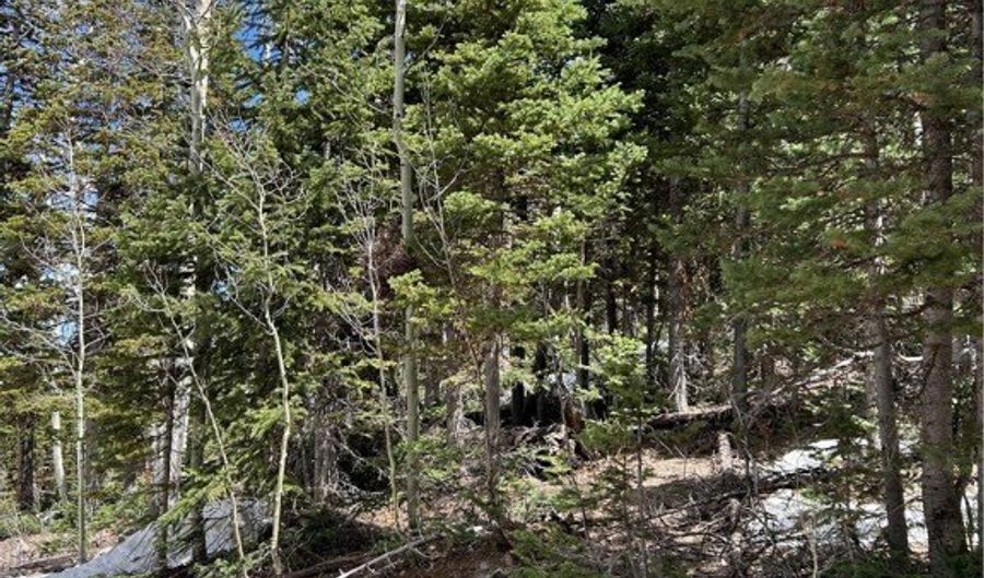 380 N Forest Dr, Brian Head, UT 84719 - 0 Beds, 0 Bath