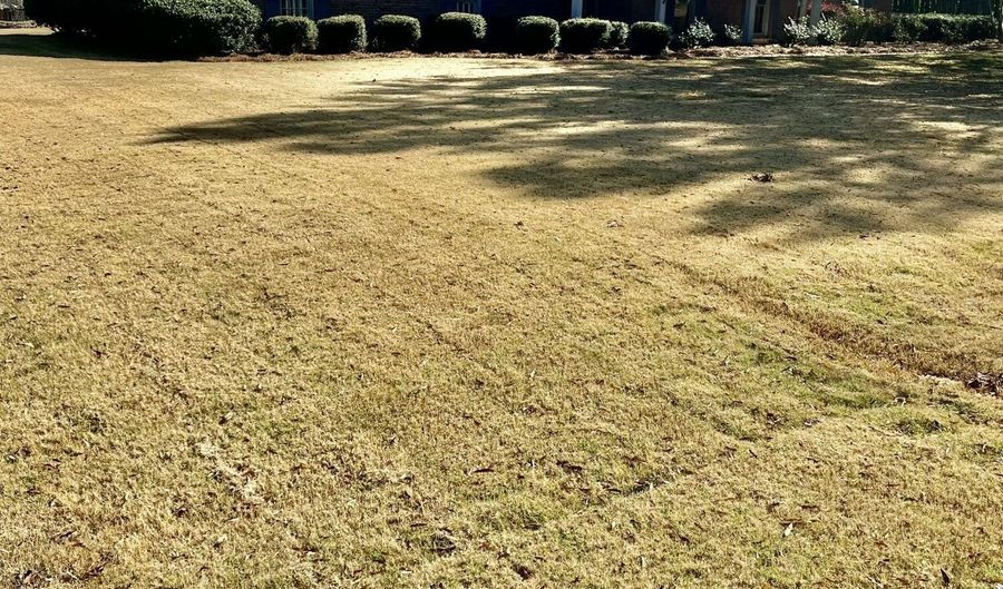 504 Holmes St, Belzoni, MS 39038 - 3 Beds, 2 Bath