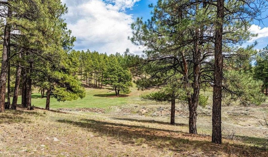 841 Beaver Creek Dr, Bayfield, CO 81122 - 0 Beds, 0 Bath