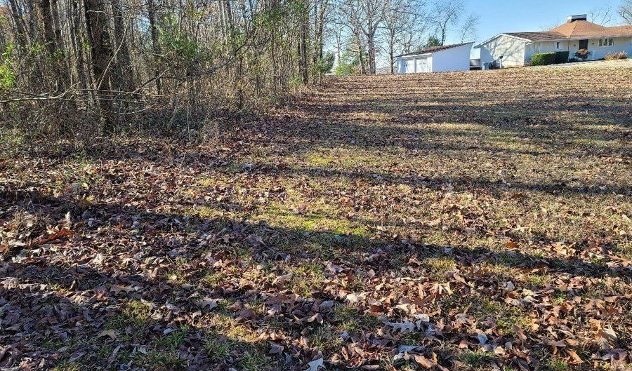 Shore Drive, Big Sandy, TN 38221 - 0 Beds, 0 Bath