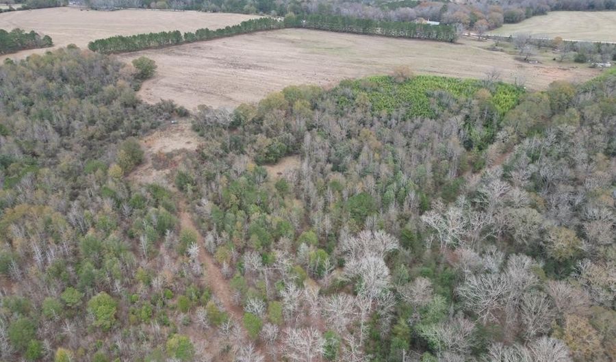 County Road 91, Banks, AL 36005 - 0 Beds, 0 Bath