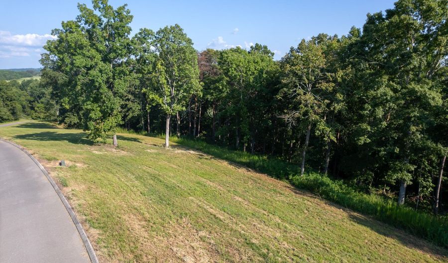 Lot 31 Watauga Lane, Birchwood, TN 37308 - 0 Beds, 0 Bath