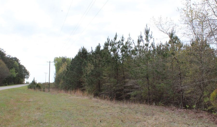 95 Herman Bell Rd, Mauk, GA 31058 - 0 Beds, 0 Bath