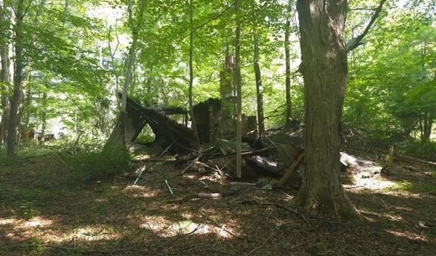 L-25 Sunside Road, Acra, NY 12405 - 0 Beds, 0 Bath