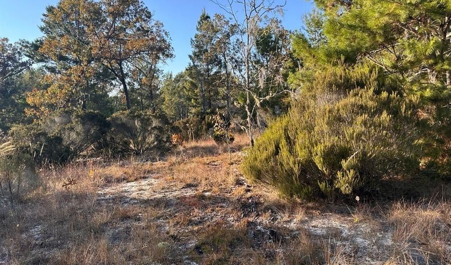 NE 99th Pl, Archer, FL 32618 - 0 Beds, 0 Bath