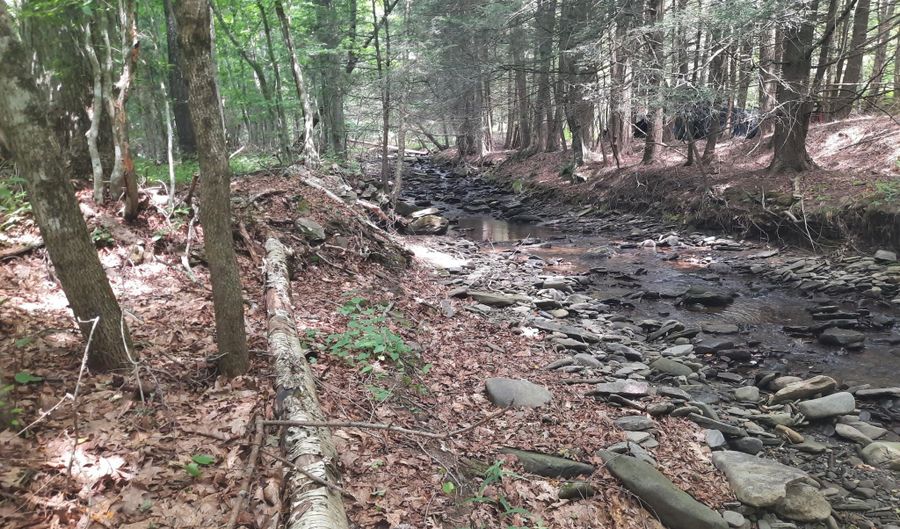 Lower Dingle Hill Road, Andes, NY 13731 - 0 Beds, 0 Bath
