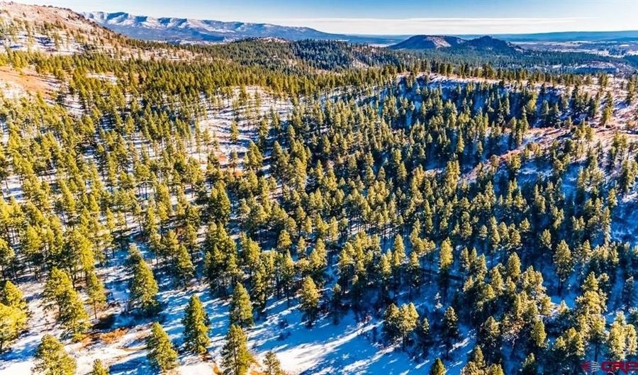 TBD Lot 13 Beaver Creek Ranch Drive, Bayfield, CO 81122 - 0 Beds, 0 Bath