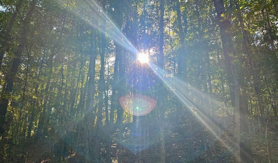 0 Lloyd Mill Rd, Andalusia, AL 36421 - 0 Beds, 0 Bath