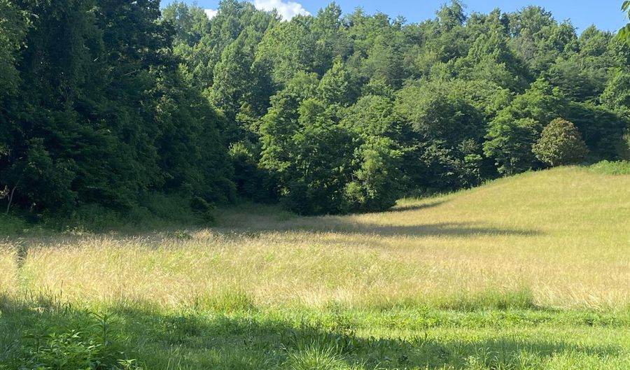 0 Rich Valley 9.23 Ac Rd, Abingdon, VA 24210 - 0 Beds, 0 Bath