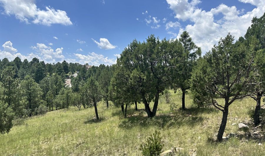 Lot 8 Mira Monte Road, Alto, NM 88312 - 0 Beds, 0 Bath