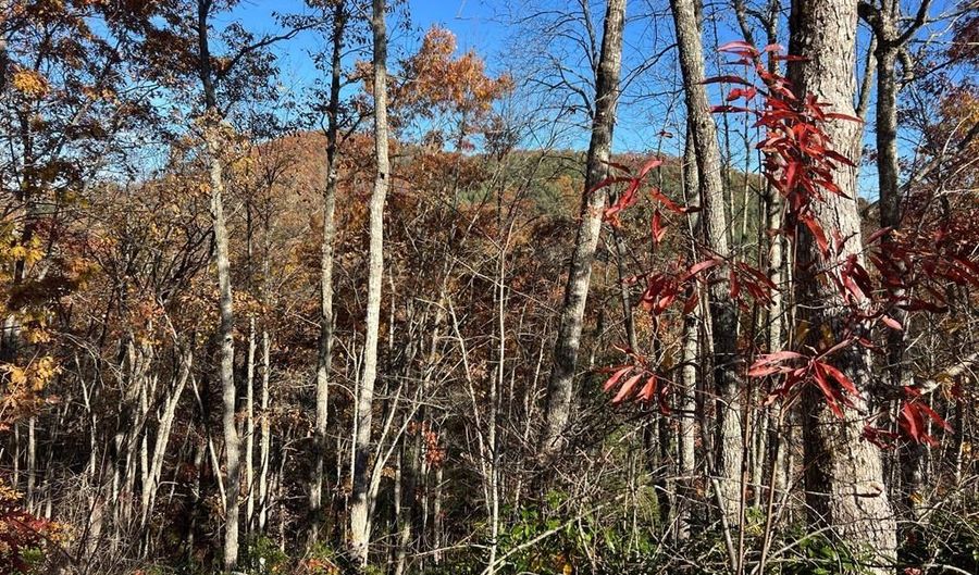 Lot 66 Musket Rd 66, Almond, NC 28702 - 0 Beds, 0 Bath