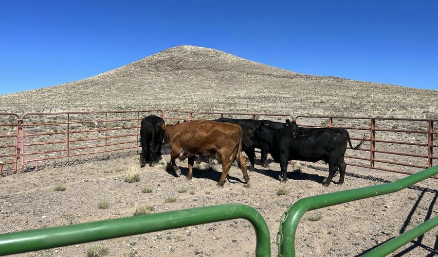 Costilla County Parcel # 400022, Blanca, CO 81123 - 0 Beds, 0 Bath