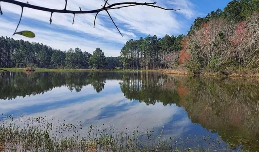 221 W 1st St, Arabi, GA 31712 - 0 Beds, 0 Bath