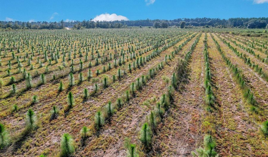 2000-4 Sellers Rd NW, Baxley, GA 31513 - 0 Beds, 0 Bath