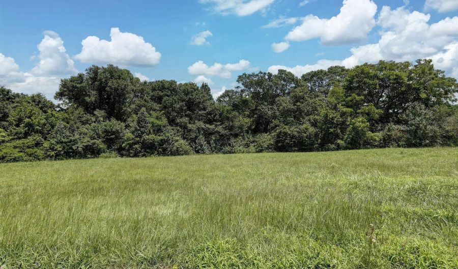 Lot 70 Paraiso Creek Drive, Albertville, AL 35950 - 0 Beds, 0 Bath