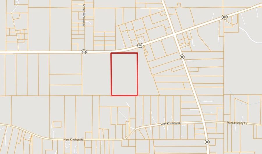 La Highway 442, Albany, LA 70711 - 0 Beds, 0 Bath