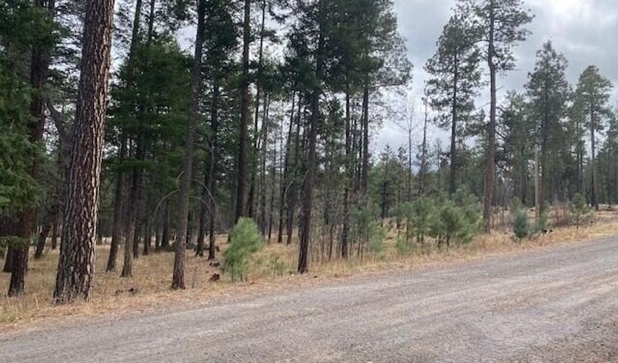 000 COUNTY ROAD 2196 LOT 74 AFE, Alpine, AZ 85920 - 0 Beds, 0 Bath