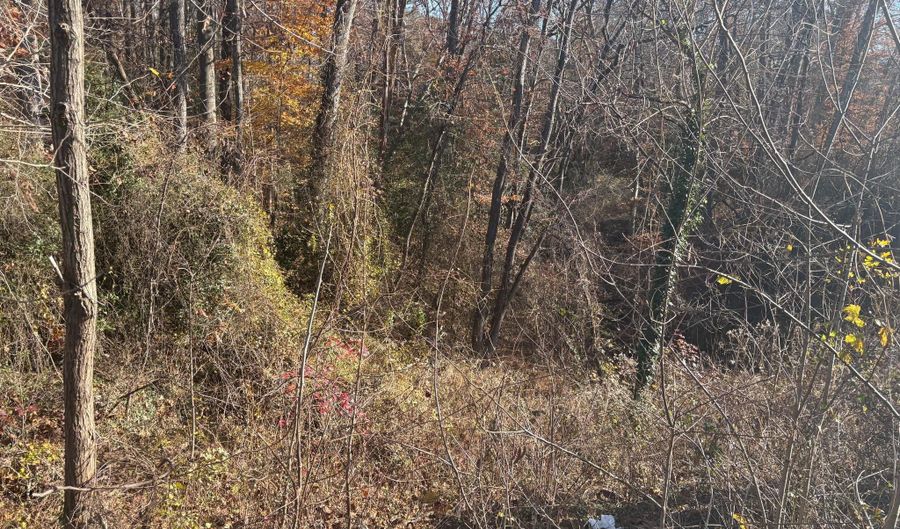 981 RITCHIE Hwy, Arnold, MD 21012 - 0 Beds, 0 Bath