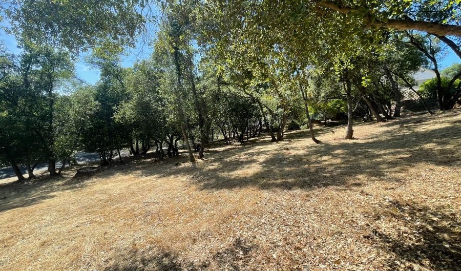 295 Mary Belle Way, Angels Camp, CA 95222 - 0 Beds, 0 Bath