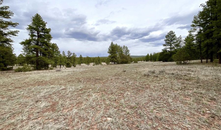 99 Big Notch Forest Trl, Bluewater, NM 87005 - 0 Beds, 0 Bath