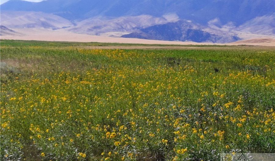 nhn Stagecoach Spur W lot 935-6, Belfry, MT 59008 - 0 Beds, 0 Bath