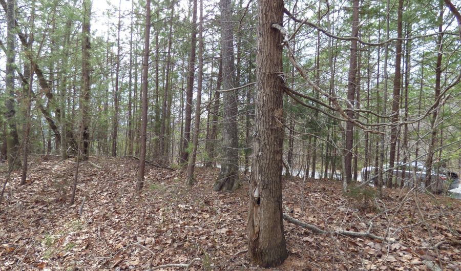 Bayside Blvd lot # 35, Bean Station, TN 37708 - 0 Beds, 0 Bath