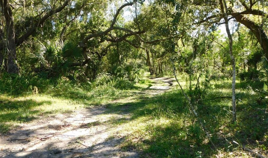 2221 NW PINE VIEW Rd, Arcadia, FL 34266 - 0 Beds, 0 Bath