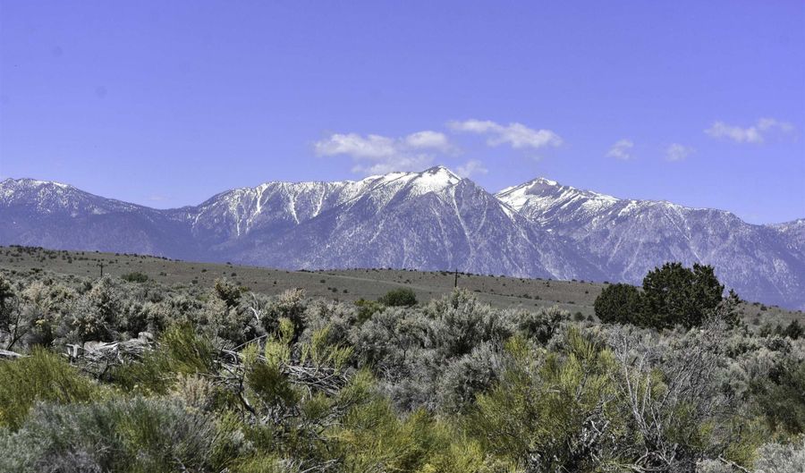 Homestead, Gardnerville, NV 89410 - 0 Beds, 0 Bath