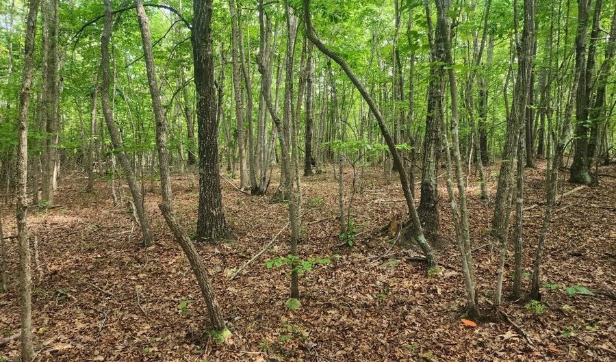 0- Lot 3-1 Red House Rd, Appomattox, VA 24522 - 0 Beds, 0 Bath