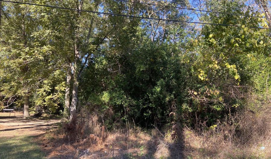 Jones Circle, Bishopville, SC 29010 - 0 Beds, 0 Bath