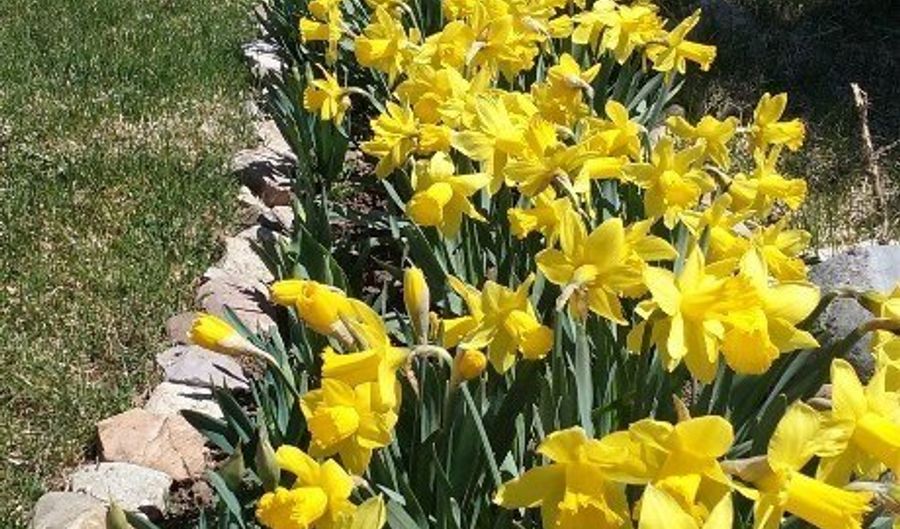 155 Aurora Lgts B2, Big Sky, MT 59716 - 2 Beds, 2 Bath