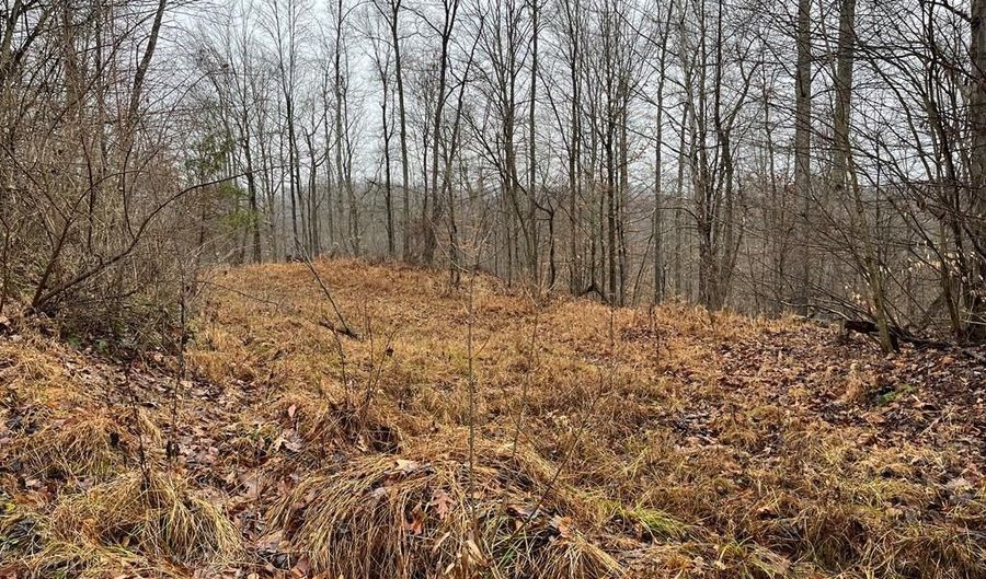 RT 64 Braden Hill Rd, Alma, WV 26320 - 0 Beds, 0 Bath