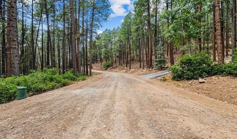 432 Blue Ridge Dr, Bayfield, CO 81122 - 0 Beds, 0 Bath
