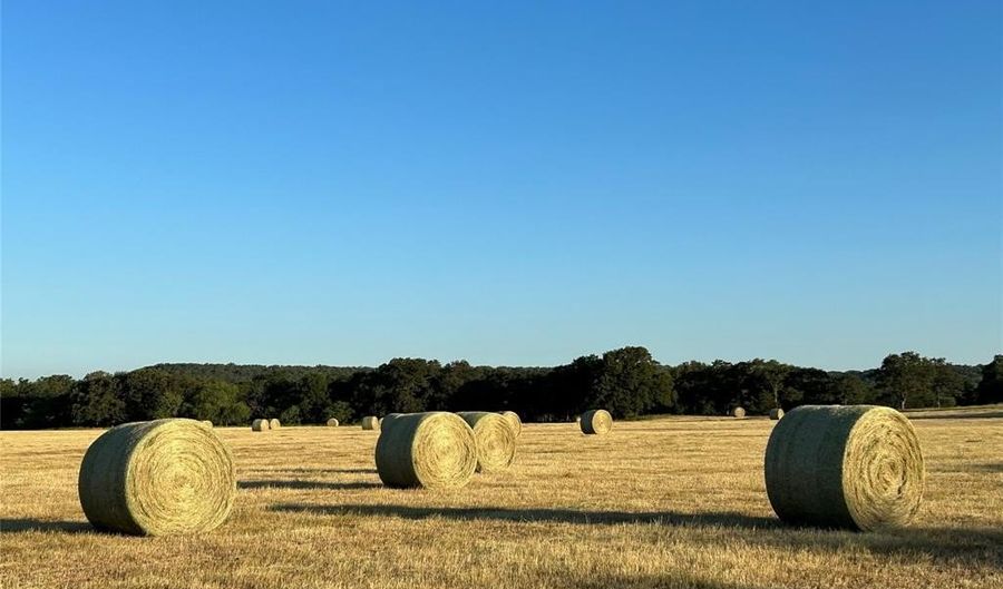 600 Wilson Bend Rd, Millsap, TX 76066 - 0 Beds, 0 Bath