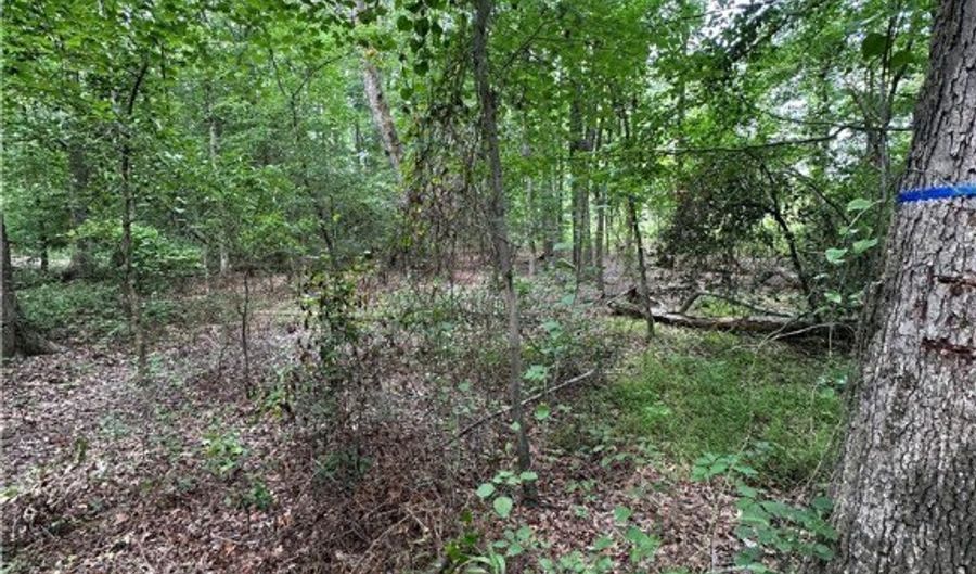 10509 A Lewistown Rd, Ashland, VA 23005 - 0 Beds, 0 Bath