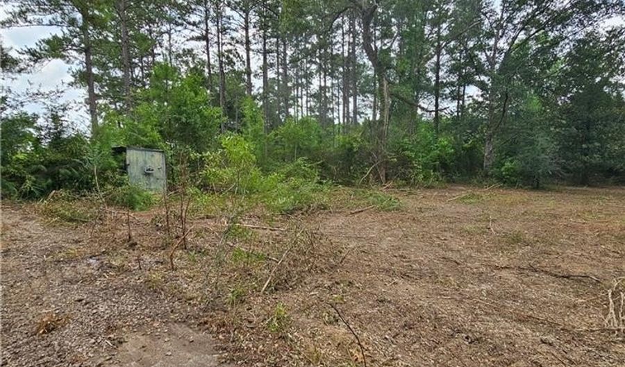 Lot B - Vining Road, Amite, LA 70422 - 0 Beds, 0 Bath