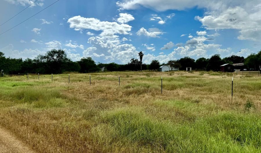 272 County Road 324, Alice, TX 78332 - 0 Beds, 0 Bath