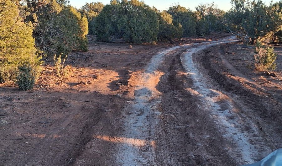 201-32 006, Concho, AZ 85924 - 0 Beds, 0 Bath