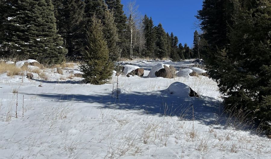 El Camino Real Lot 1386, Angel Fire, NM 87710 - 0 Beds, 0 Bath