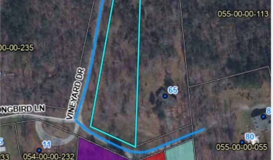 Vineyard Drive, Abbeville, SC 29620 - 0 Beds, 0 Bath