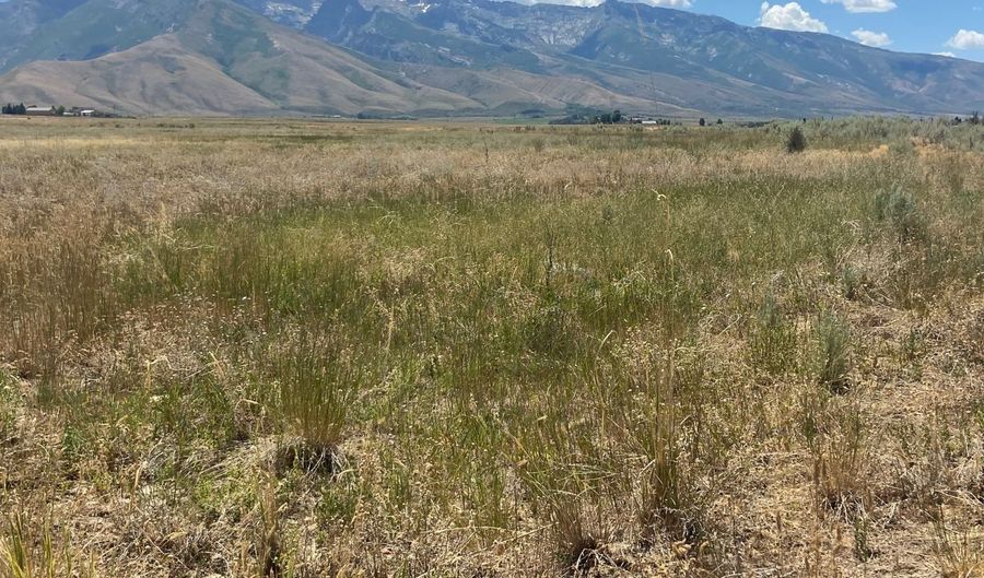 80 21 Acres A, Lamoille, NV 89828 - 0 Beds, 0 Bath