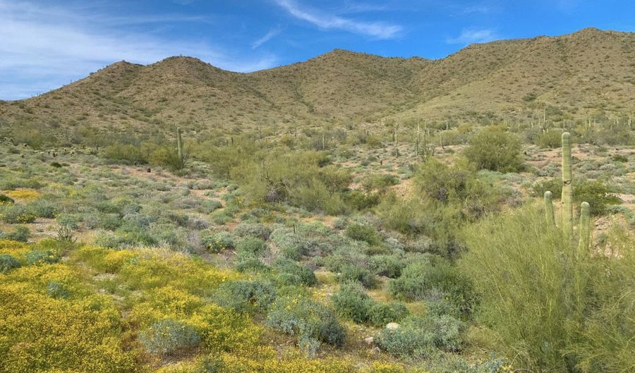 41802 N BRIDLEWOOD Way, Anthem, AZ 85086 - 3 Beds, 3 Bath