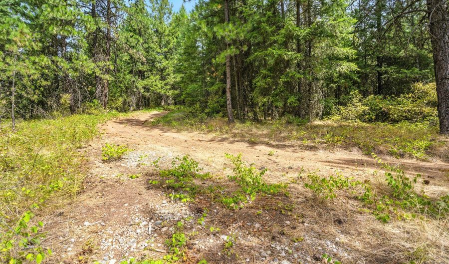 NNA USFS 2550 40 acres, Blanchard, ID 83804 - 0 Beds, 0 Bath