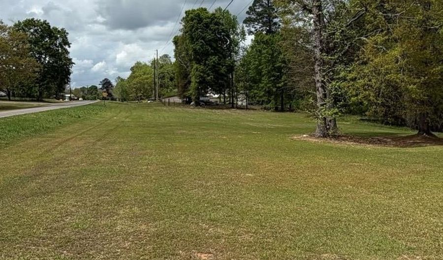 1151 Hwy 123, Ariton, AL 36311 - 4 Beds, 3 Bath
