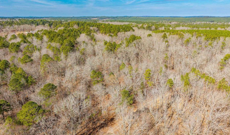 BRUSHY CEMETERY Road, Amity, AR 71921 - 0 Beds, 0 Bath