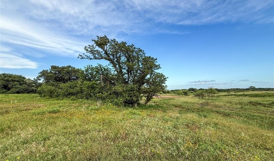 299 County Road 1475, Alvord, TX 76225 - 0 Beds, 0 Bath