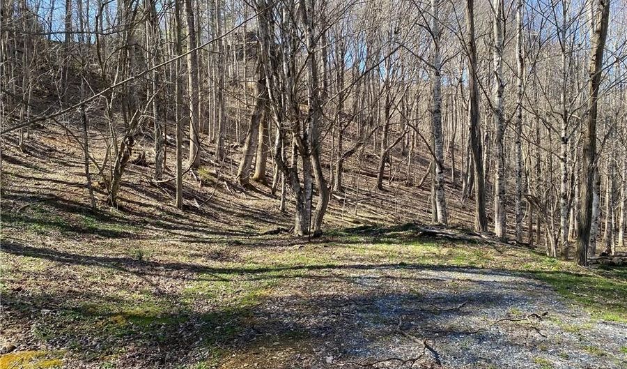 Lot 5 Lakespur Trail, Banner Elk, NC 28604 - 0 Beds, 0 Bath