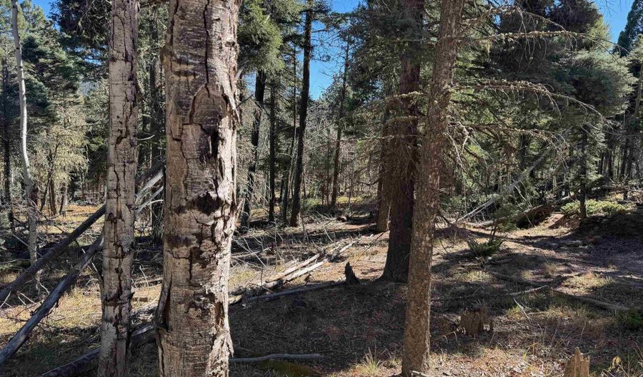 Taos Dr lot 173, Angel Fire, NM 87710 - 0 Beds, 0 Bath