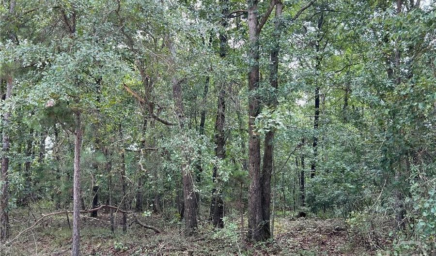 Tract # 3 Lake Deerfield Rd, Hull, GA 30646 - 0 Beds, 0 Bath